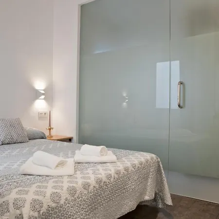 Apartment Plaza De Curtidores *