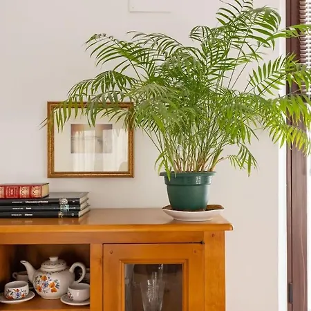 Narciso Campillo Oasis By Valcambre Apartment