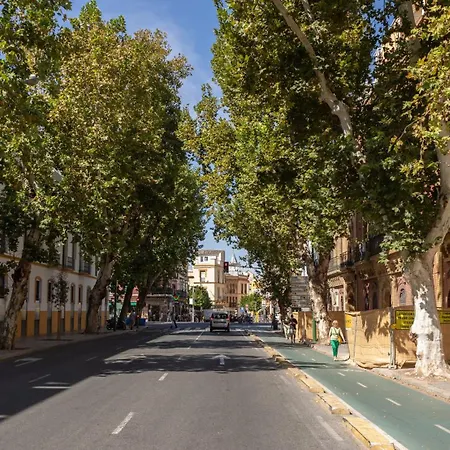 Charming 2 Bedroom At Center By Cityzen Seville