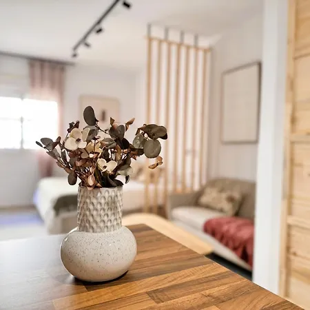 Apartment Charming Loft Close To Center - Wifi Seville