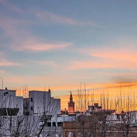 Bonito Atico En El Centro Con Terraza * Seville