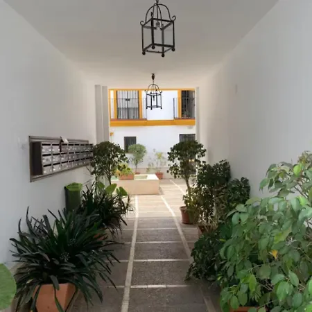 Pilsev Modern & Central, Perfect For Your Seville