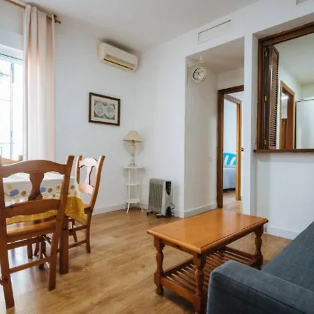 Pilsev Modern & Central, Perfect For Your *