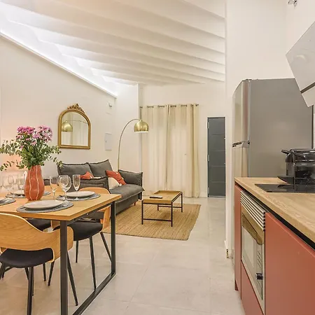 Luxury Petit Loft Apartment Seville