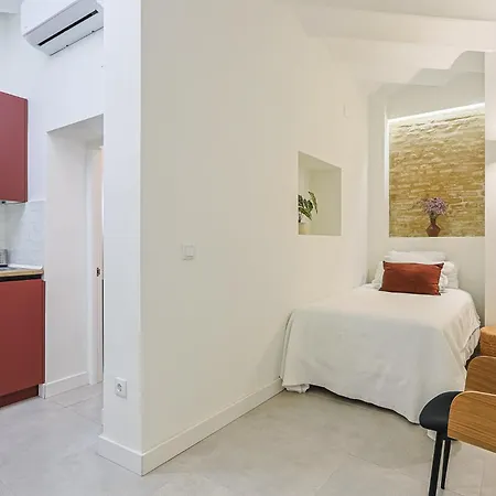 Luxury Petit Loft Apartment Seville
