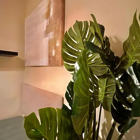 Apartamento Wish San Sevilla