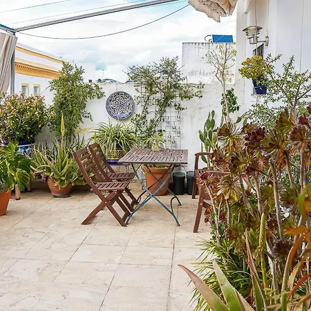 Rooftop Maisonette With Magnificent Terrace Seville