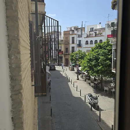 Le Petit Palue Seville