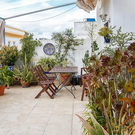 Apartment Rooftop Maisonette With Magnificent Terrace *