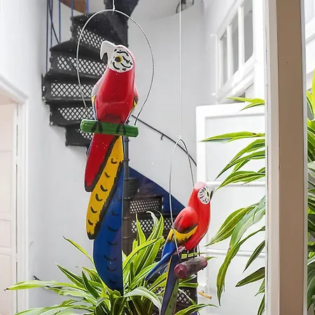 Rooftop Maisonette With Magnificent Terrace Seville