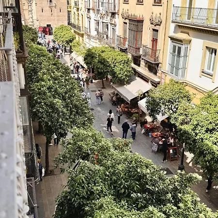 B Elegant & With Unique Views Apartment Seville