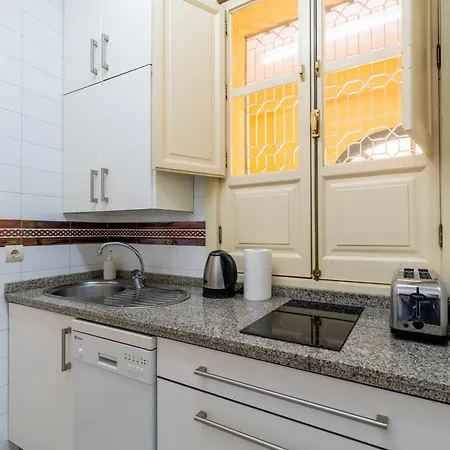 Cathedral Penthouse- Big Private Terrace- Parking Seville
