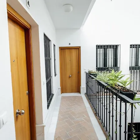 Apartment Bright Duplex W/ Terrace Seville