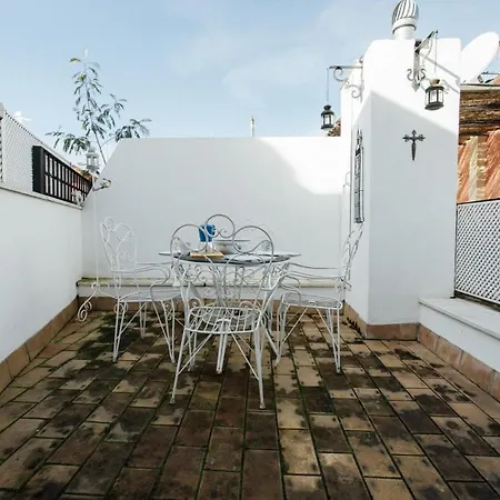 Bright Duplex W/ Terrace Seville