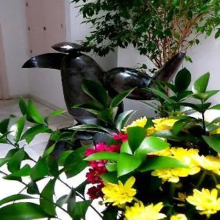Hotel Un Patio Al Sur 2*
