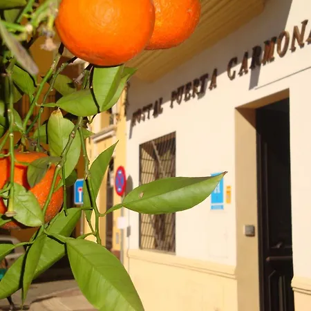 Penzion Puerta Carmona 2*