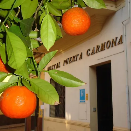 Puerta Carmona 2* Sevilla