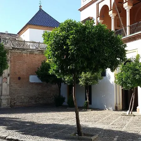 Apartment San Esteban