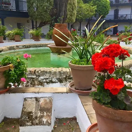 Apartment Andalusian Courtyard Seville