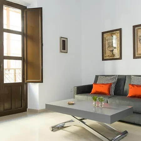 Apartment Plaza Nueva Seville
