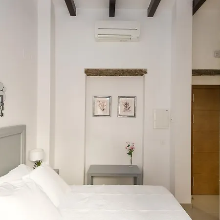 Plaza Nueva Seville