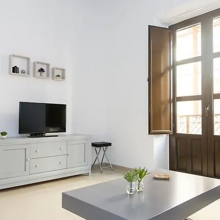 Apartment Plaza Nueva Seville
