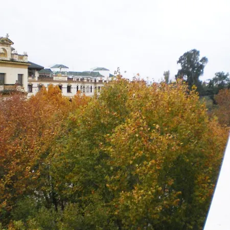 Murallas De Apartment Seville