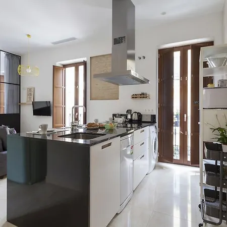 Apartamento Vintage Con Balcones Apartment