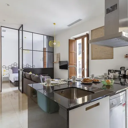 Apartamento Vintage Con Balcones Apartment *