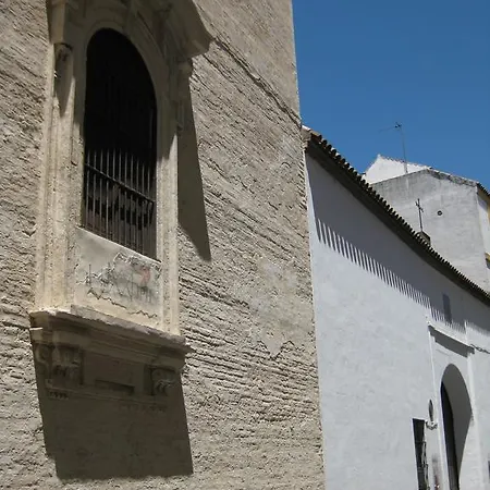 Sevilla Bustos Tavera Vft Sevilla