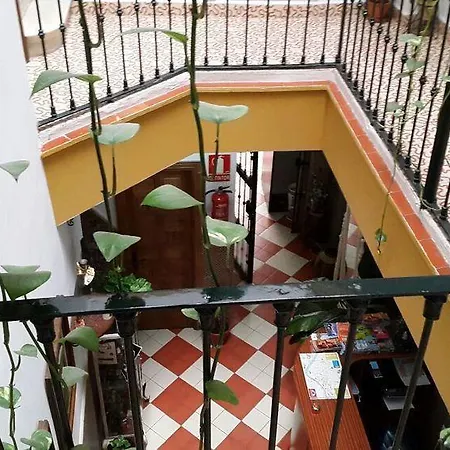 El Rincon De Carlota * Seville