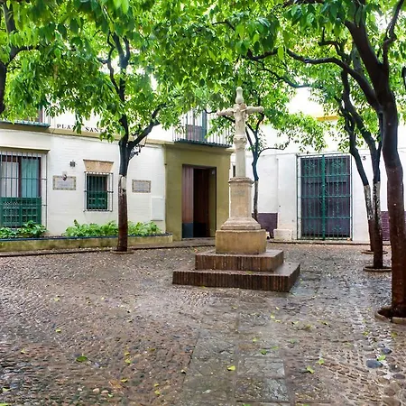 Apartamento Junto A La Catedral Apartment