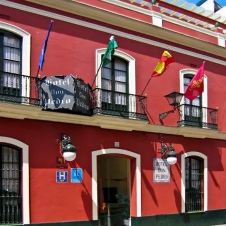 Casa Palacio Don Pedro *