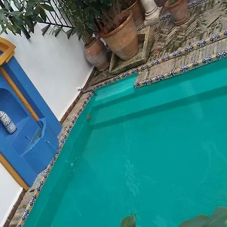 カーサ インペリアル 4* セビリア