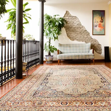 Abanico Casa Palacio