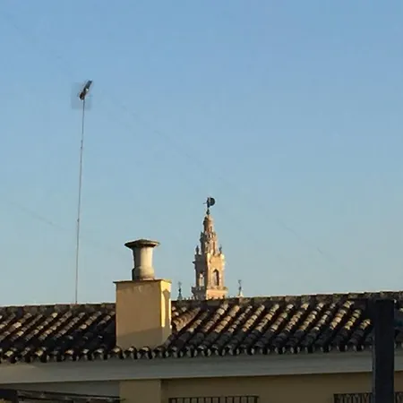 Apartamento Tirso De Molina Apartment Seville
