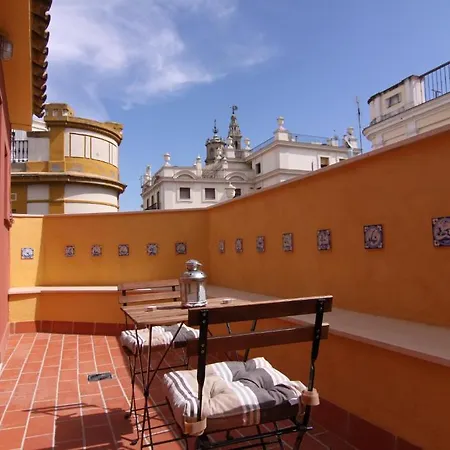 Living Catedral *