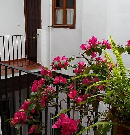 Plaza San Marcos Apartment Seville