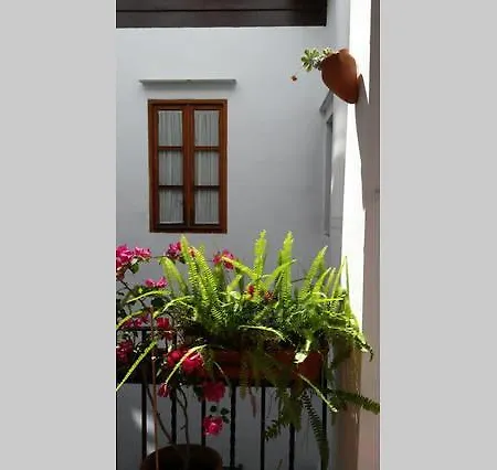 Plaza San Marcos Apartment *