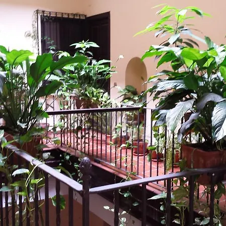Apartment Plaza San Marcos *