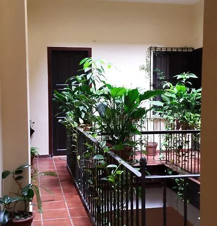 Apartment Plaza San Marcos