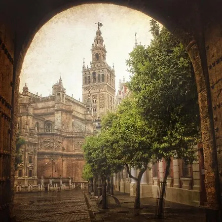 Vive Daire Sevilla