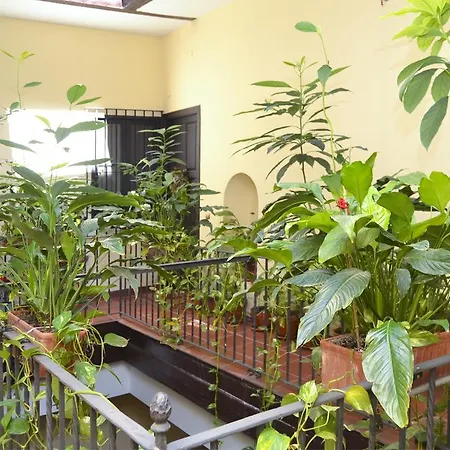 Apartment Plaza San Marcos Seville