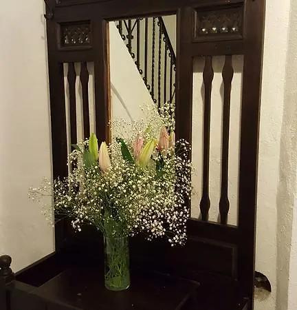 Apartment En El Corazon De