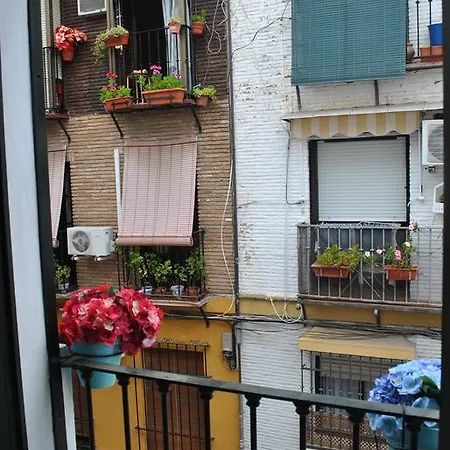 Triana Pelay Seville