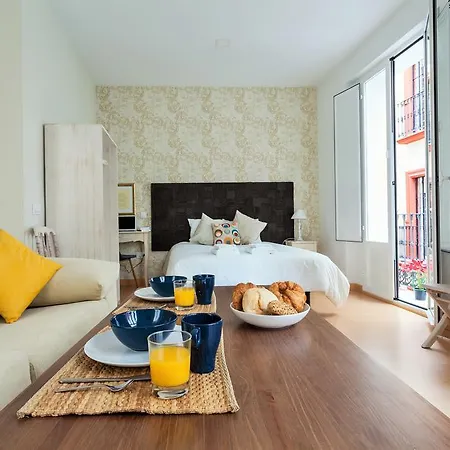 Hostly Acetres 1a Loft In Center, Comunal Terrace, Fibre,parking Optional Apartment *