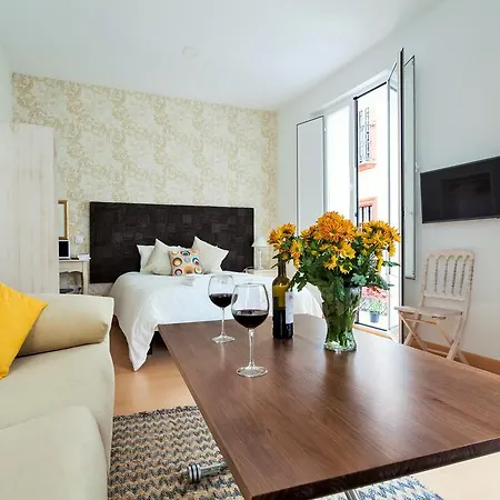 Hostly Acetres 1a Loft In Center, Comunal Terrace, Fibre,parking Optional