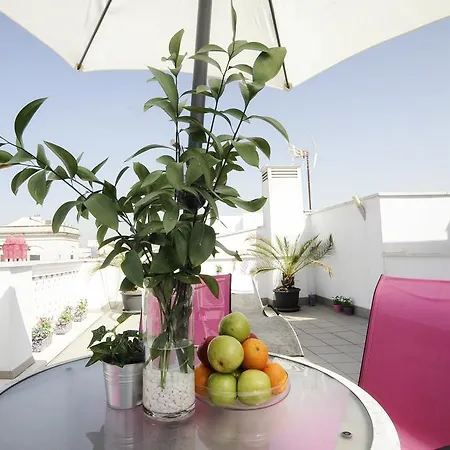 Singular Relator Apartment