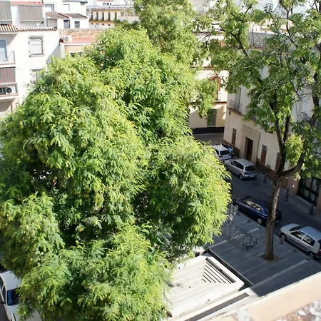 Perez Montilla 2*