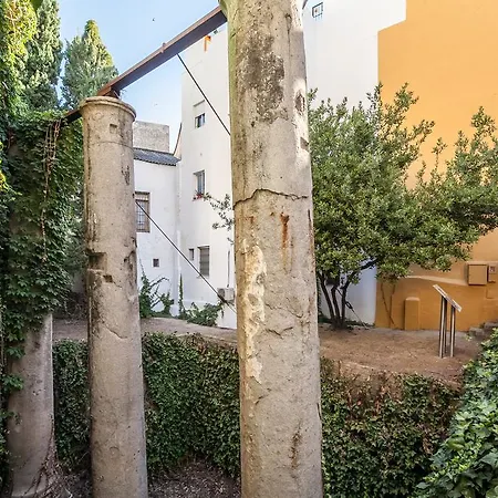 Casa Senorial En Centro,calle Marmoles Apartment